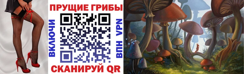 цены   Полевской  Галлюциногенные грибы Psilocybine cubensis 